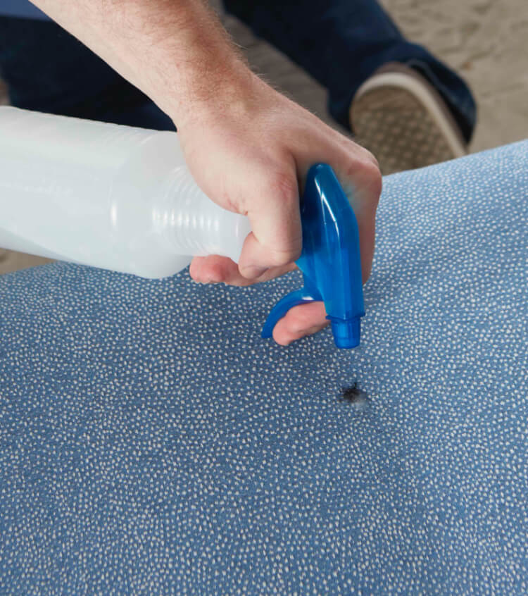 Cleaning paint from Sunbrella upholstery fabric